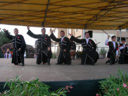 Milano 2008